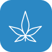 Cannabis Brands